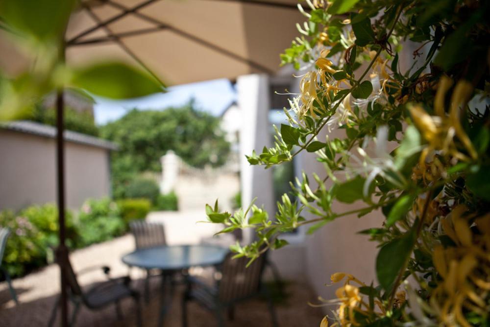 Domaine Violot-Guillemard Bed & Breakfast Pommard Ngoại thất bức ảnh