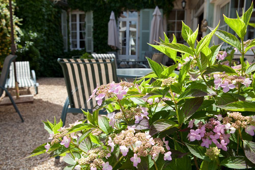 Domaine Violot-Guillemard Bed & Breakfast Pommard Ngoại thất bức ảnh